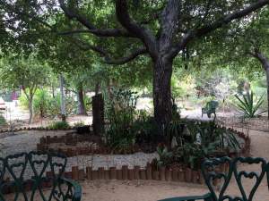 hsrc-meditation-garden