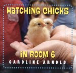 chicks