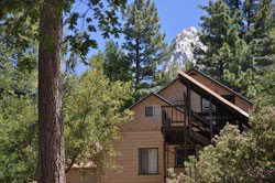 tahquitz-pines-cabin