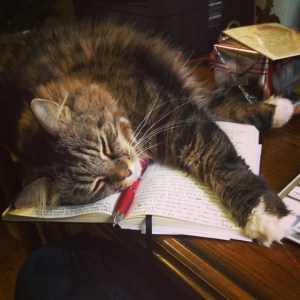 Tina Fey, "helping" me organize my notes for an editorial letter.